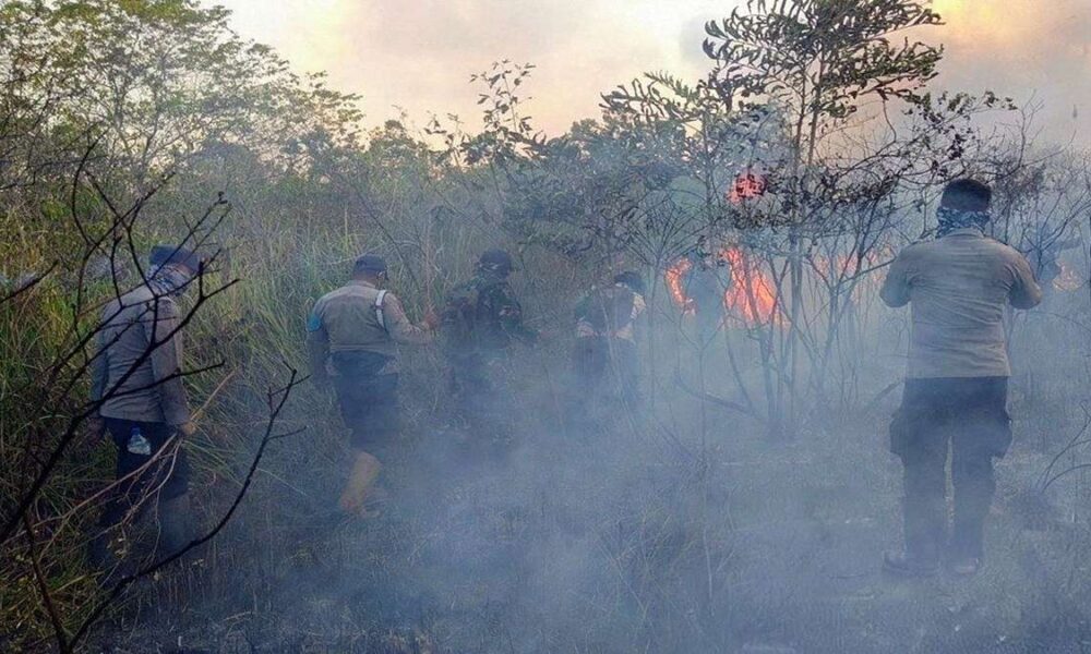 Pemadaman Karhutla dikelilingi asap tebal, Tim gabungan memadamkan kebakaran hutan dan lahan yang dipenuhi asap putih tebal