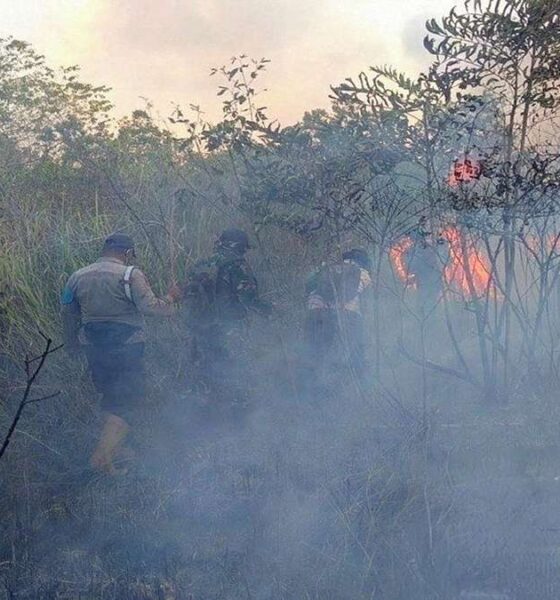 Pemadaman Karhutla dikelilingi asap tebal, Tim gabungan memadamkan kebakaran hutan dan lahan yang dipenuhi asap putih tebal