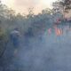 Pemadaman Karhutla dikelilingi asap tebal, Tim gabungan memadamkan kebakaran hutan dan lahan yang dipenuhi asap putih tebal