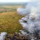 Hotspot Lampung BMKG Deteksi 208 Titik, Pemandangan udara kebakaran hutan yang memperlihatkan asap mengepul di atas area hijau dan lahan yang terbakar