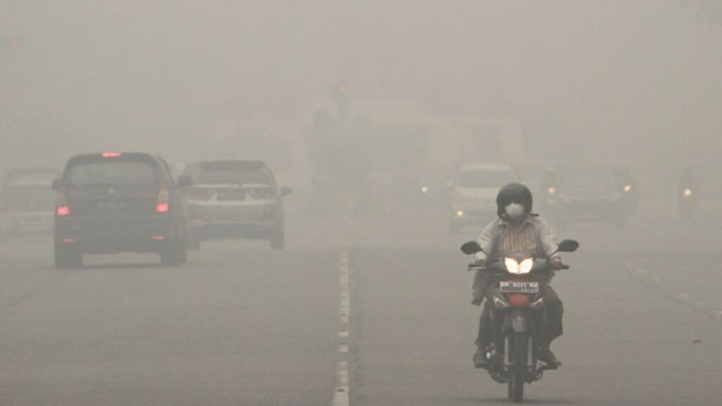 Bahaya Mencekam! Dampak Kabut Asap Karhutla hingga Melonjaknya Kasus ISPA 52 IMG 9519