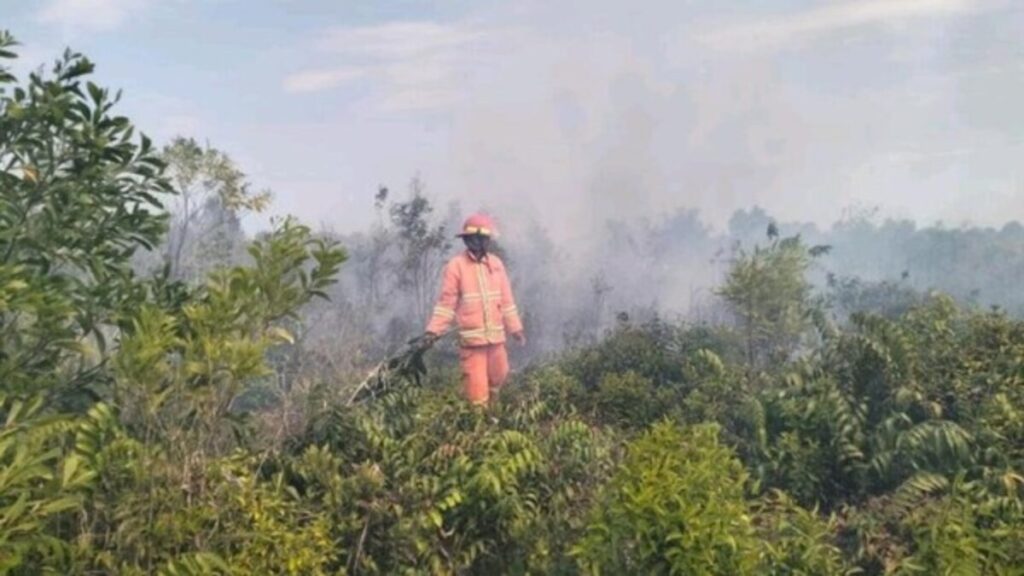 Ancaman Mencekam Energi Hijau,Karhutla Kepung IKN dan Wilayah Penyangga 52 IMG 9553