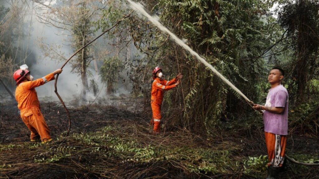 Ancaman Mencekam Energi Hijau,Karhutla Kepung IKN dan Wilayah Penyangga 53 IMG 9557