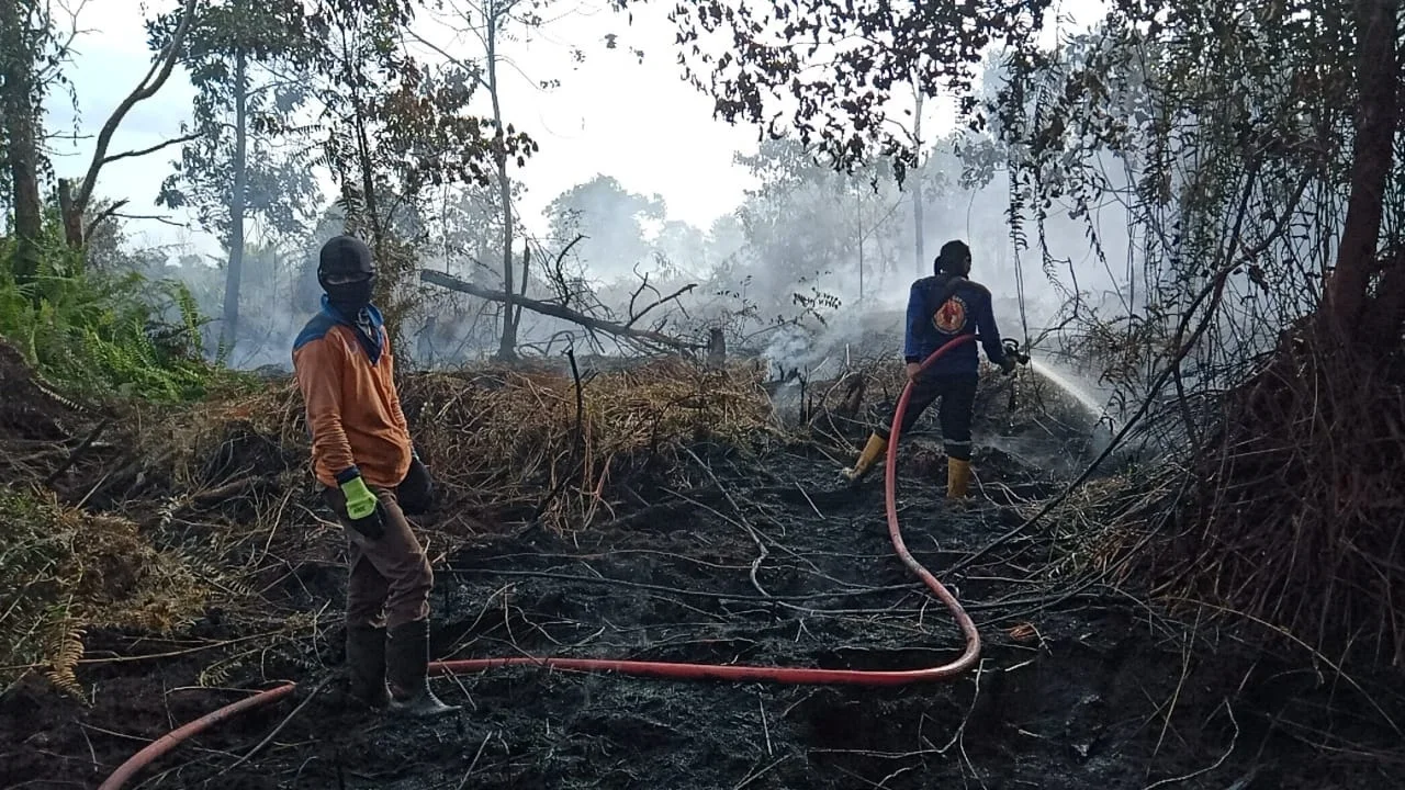 Tragis! Penyebab Kebakaran Maut di Tebet Terungkap Akibat Gangguan Listrik 51 KARHUTLA