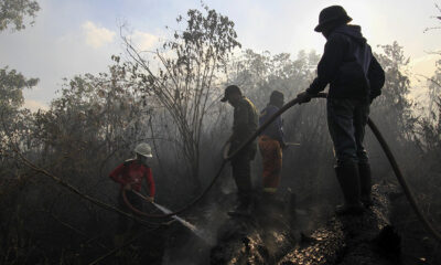KEBAKARAN HUTAN 1