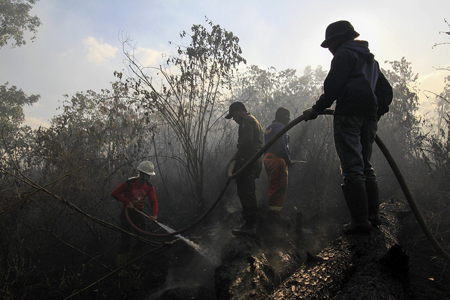 Darurat! Pengendalian Kebakaran Hutan Kalimantan Diperketat Gabungkan 12 Ribu Personel 51 KEBAKARAN HUTAN 1
