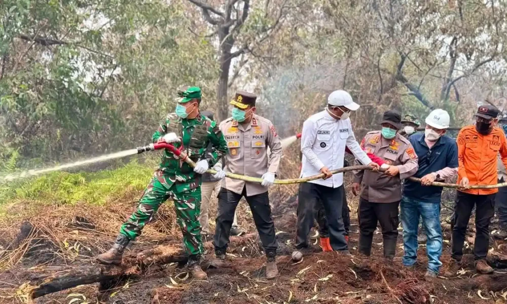 Karhutla di Kerumutan Kabupaten Pelalawan.jpg