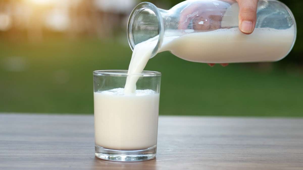 Perbandingan Jumlah Protein Berbagai Jenis Susu dari Almond hingga Susu Sapi 51 Seseorang menuangkan susu dari botol kaca ke dalam gelas di atas meja kayu