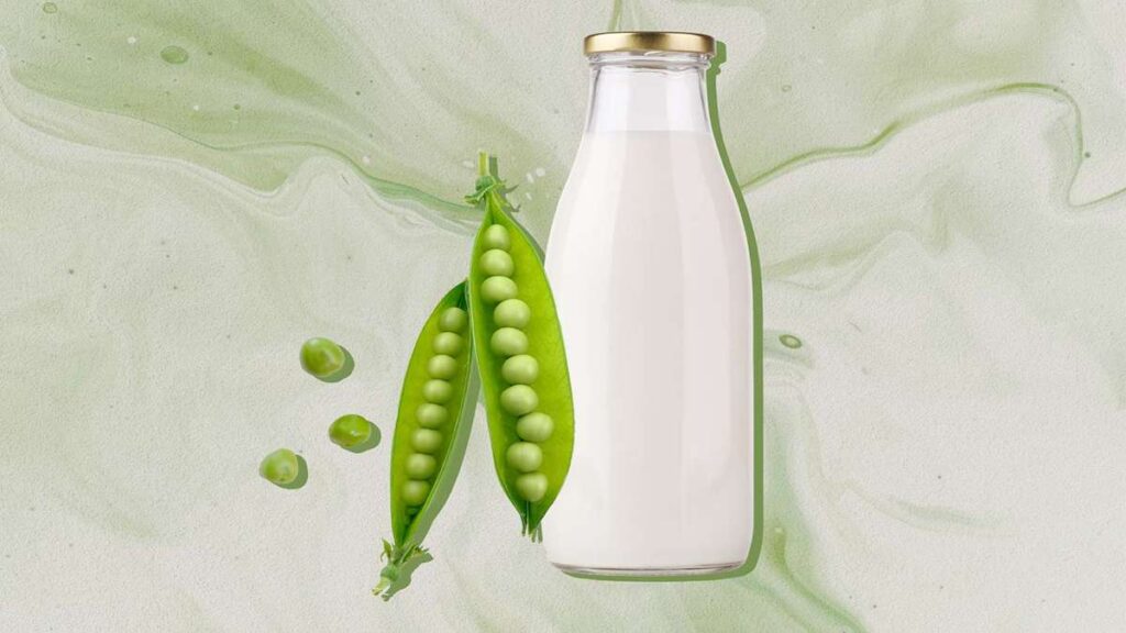 Perbandingan Jumlah Protein Berbagai Jenis Susu dari Almond hingga Susu Sapi 54 Botol susu nabati yang terbuat dari kacang kapri beserta polong kacang kapri di sampingnya dengan latar belakang hijau marmer