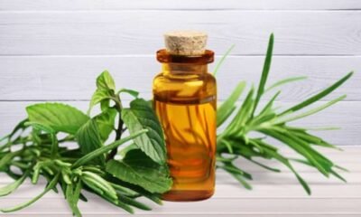 Botol kecil minyak esensial dengan tutup gabus di antara dedaunan herbal segar
