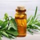 Botol kecil minyak esensial dengan tutup gabus di antara dedaunan herbal segar