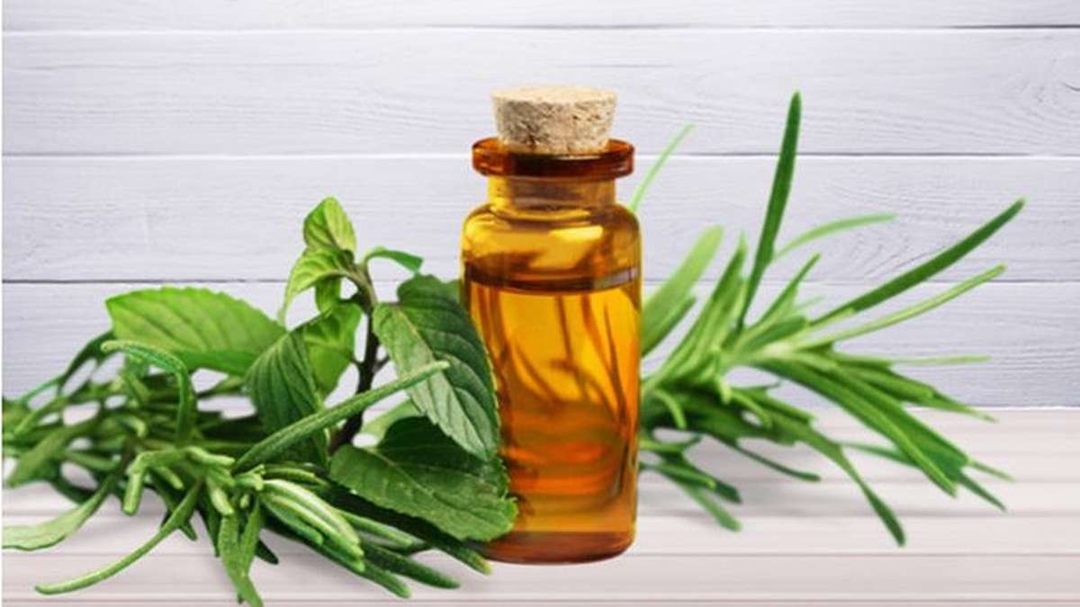 Botol kecil minyak esensial dengan tutup gabus di antara dedaunan herbal segar