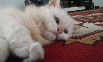 WhatsApp Image 2026 08 31 at 10.18.49 2
