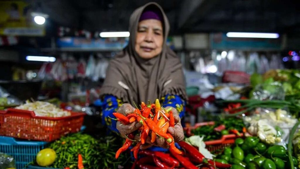 Lonjakan Harga Beras dan Cabai Tekan Daya Beli Masyarakat 53 bahan baku