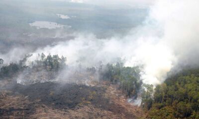 asap riau