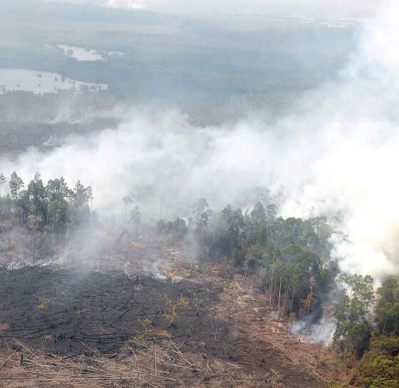 asap riau