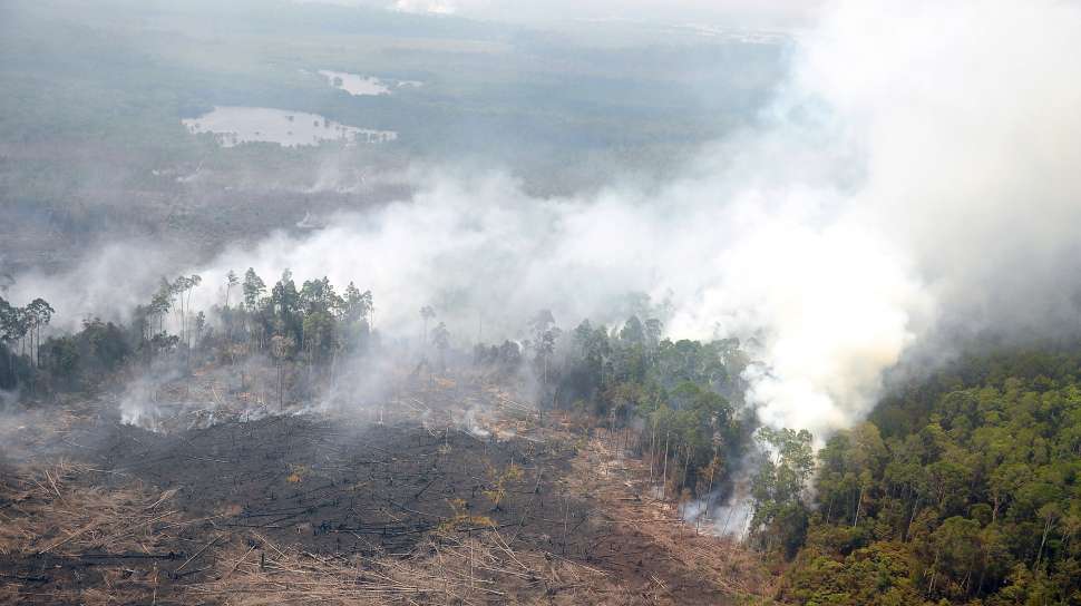 Penting! Prabowo Kunker ke Riau Hari Ini: Tinjau Langsung Penanganan Karhutla di Sumatera 51 asap riau