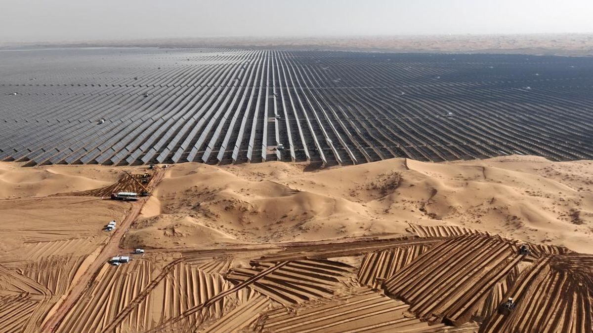 Kejadian Mengejutkan, Ekspansi Solar Panel di China Picu Penurunan Keanekaragaman Burung 51 china bangun ladang panel surya raksasa di gurun 4 169