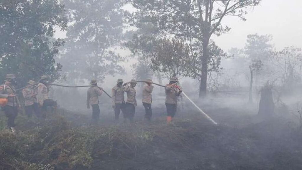 Pemadaman Karhutla Kampar Mencekam 1 Kapolres Dikepung Asap Tebal 53 Pemadaman Karhutla dikelilingi asap tebal, Tim pemadam kebakaran sedang berusaha memadamkan kebakaran hutan di tengah kepulan asap tebal
