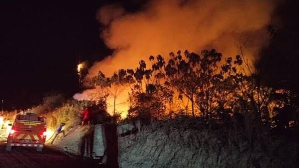 Langkah Tegas Prabowo Perintahkan Aparat Gencarkan Edukasi Larangan Pembakaran Hutan di Desa 53 images 11 6