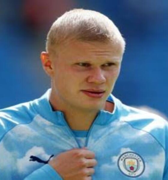Haaland Potong Rambut