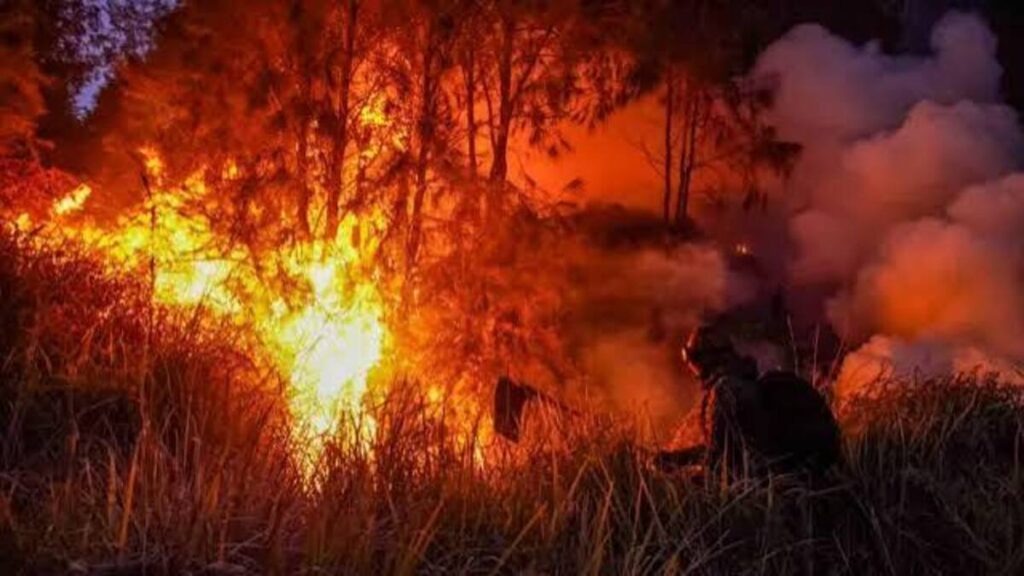 Karhutla Makin Mengerikan, Kualitas Udara Pontianak Terburuk se-Indonesia 53 images 18 5