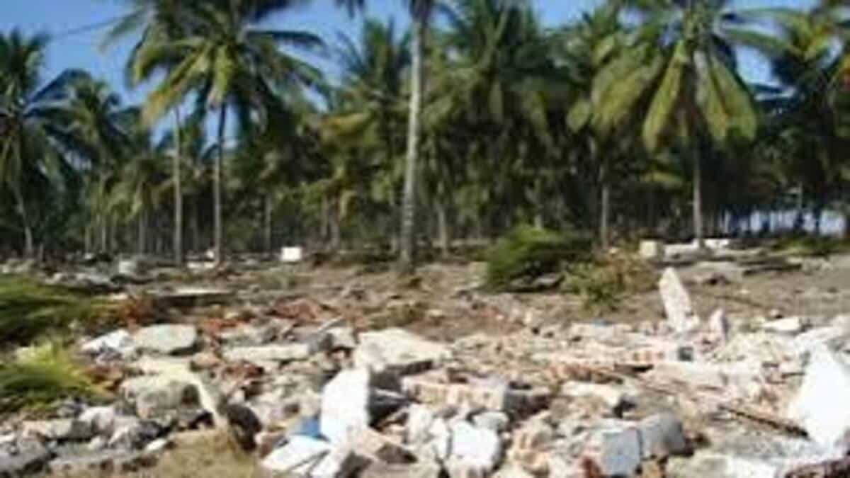 Ancaman Mengerikan Tsunami Earthquake Terasa Bak Truk Lewat 51 images 2026 08 18T180232.137 1