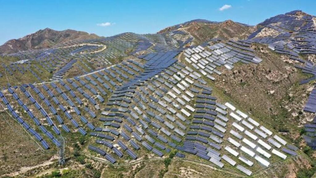 Kejadian Mengejutkan, Ekspansi Solar Panel di China Picu Penurunan Keanekaragaman Burung 52 images 24 5