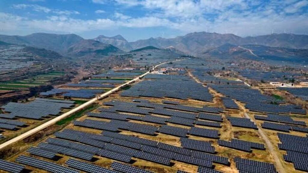 Kejadian Mengejutkan, Ekspansi Solar Panel di China Picu Penurunan Keanekaragaman Burung 53 Ekspansi Solar Panel di China Picu Penurunan Keanekaragaman Burung
