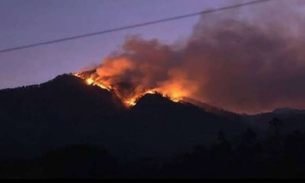 Gunung Arjuno Terbakar Meluas 334 Hektare Petugas Darurat Siaga, Kebakaran hutan melanda perbukitan dengan kepulan asap tebal di langit senja