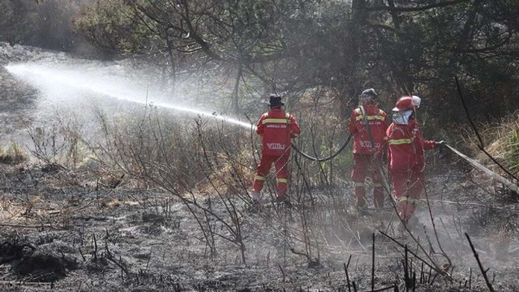 Wisata bromo kembali dibuka, Petugas pemadam kebakaran menyemprotkan air ke area semak-semak yang terbakar