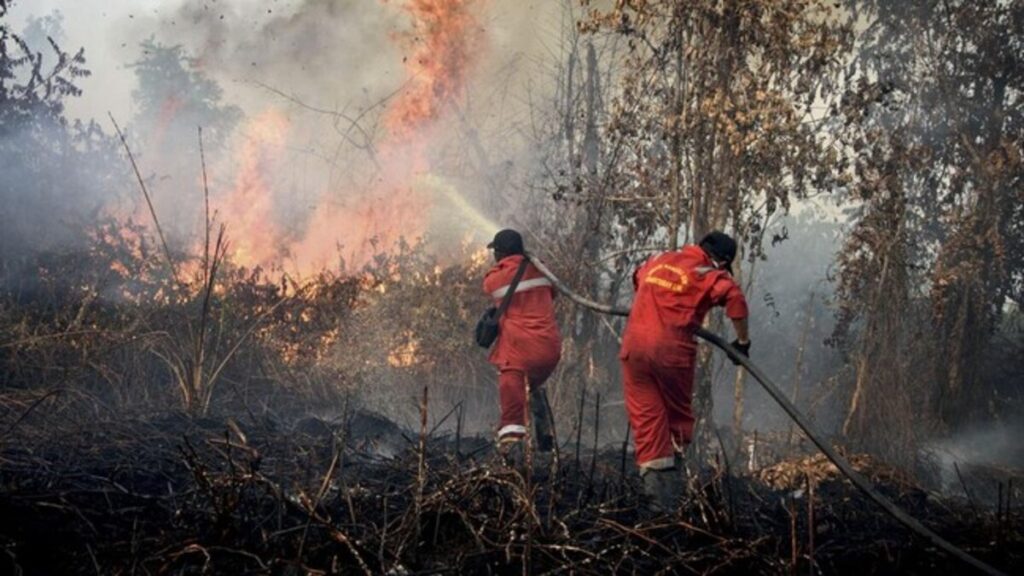 Langkah Tegas Prabowo Perintahkan Aparat Gencarkan Edukasi Larangan Pembakaran Hutan di Desa 52 kebakran hutan AFP