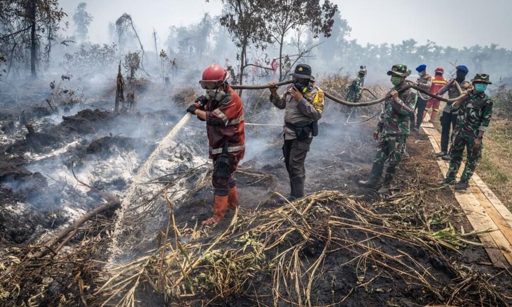 penanganan karhutla di riau 1787568814602 169