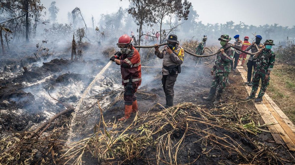 penanganan karhutla di riau 1787568814602 169