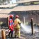 Kandang Ayam di Karanganyar Terbakar Ludes 15 Ribu Ekor Melayang 56 Kebakaran Kandang Ayam Di karanganyar Hanguskan 15 Ribu ekor, Petugas pemadam kebakaran menyemprotkan air ke reruntuhan bangunan yang terbakar