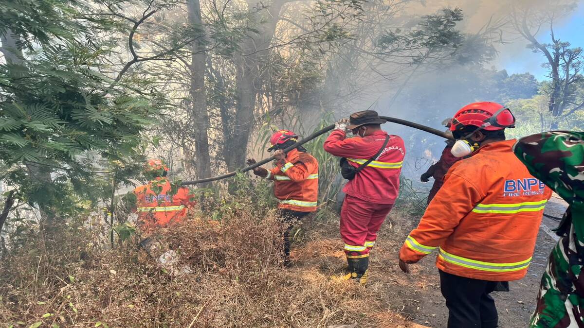 Darurat! Relawan Pemadam Kebakaran Bromo Keluhkan Gangguan Pernapasan Akibat Asap 51 2