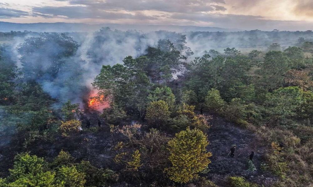 Kepulan Asap Karhutla Kalimantan Terpantau 1 Satelit NASA