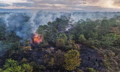 Kepulan Asap Karhutla Kalimantan Terpantau 1 Satelit NASA
