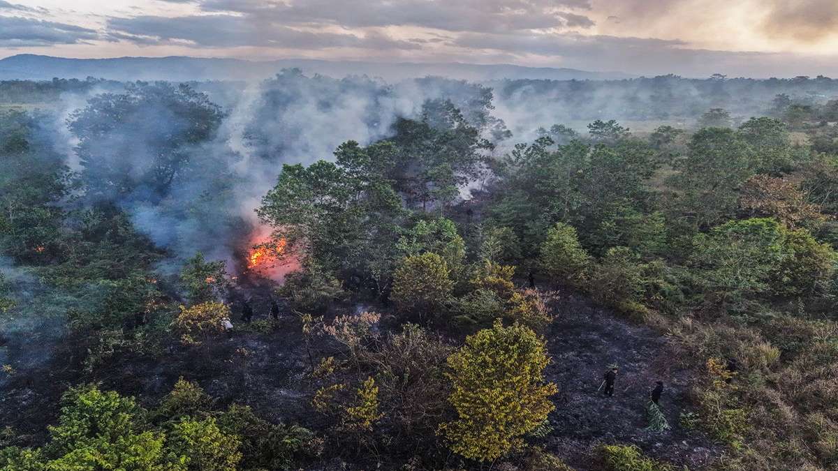 Kepulan Asap Karhutla Kalimantan Terpantau 1 Satelit NASA