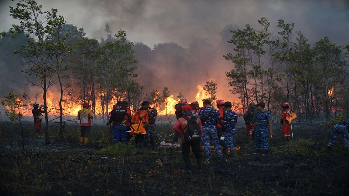 Kepulan Asap Karhutla Kalimantan Terpantau 1 Satelit NASA