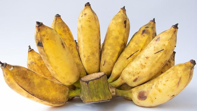 7 jenis pisang terbaik di dunia ada yang populer di indonesia 1745629329089 169