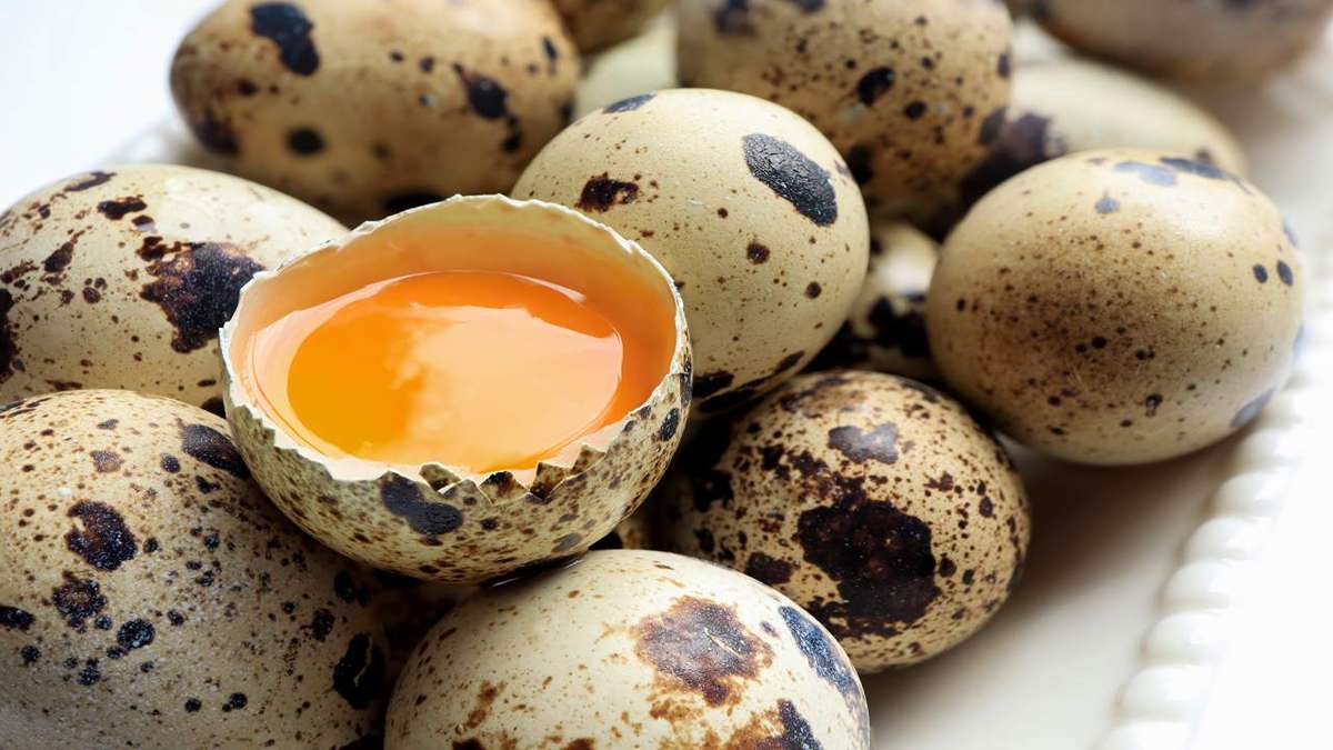 Dibalik Ukuran Mungilnya, Temukan Kandungan Nutrisi Telur Puyuh yang Luar Biasa 52 Sekelompok telur puyuh dengan satu telur yang pecah menampakkan kuning telur di dalamnya
