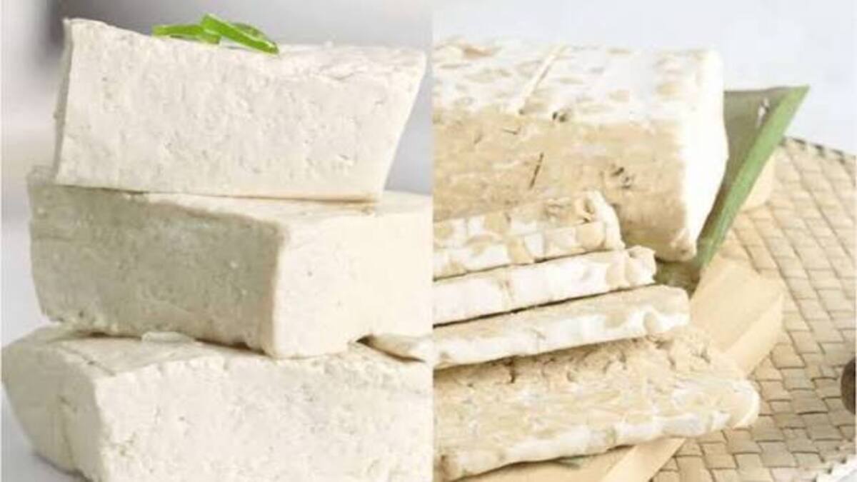 Terungkap! Tempe vs Tahu,Pilihan Terbaik Sumber Protein yang Paling Bergizi 51 IMG 0964