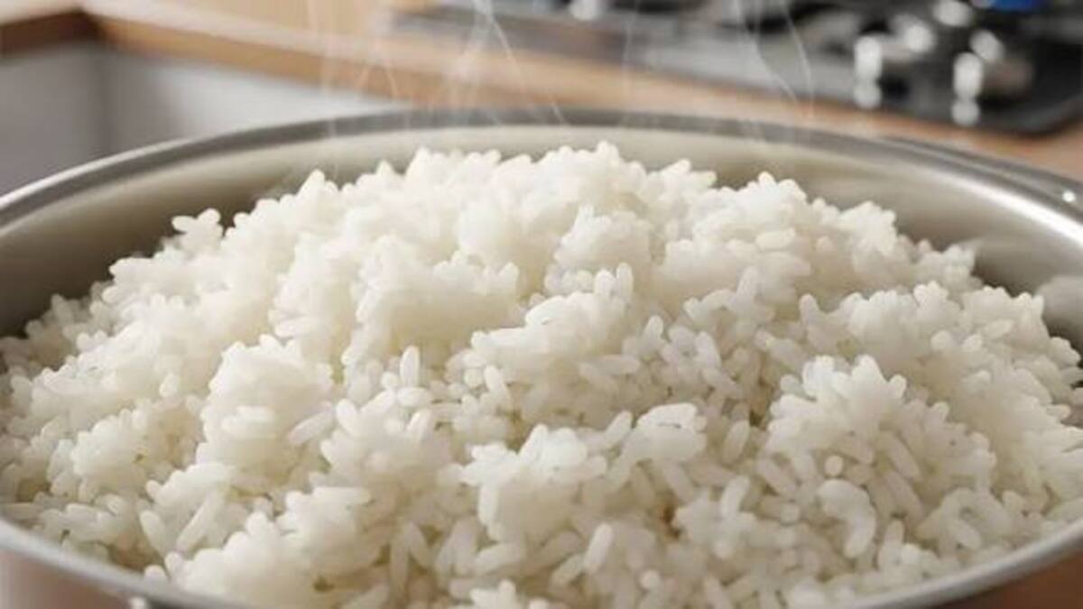 Rahasia Ampuh! Cara Menyimpan Nasi Putih Sisa Tetap Enak dan Aman 51 IMG 1323