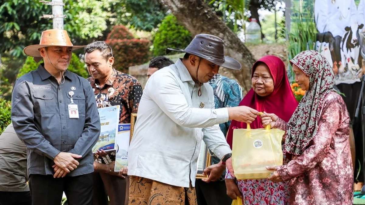 Pemprov Jateng Pakai 1 Inseminasi Buatan Dongkrak Susu Sapi