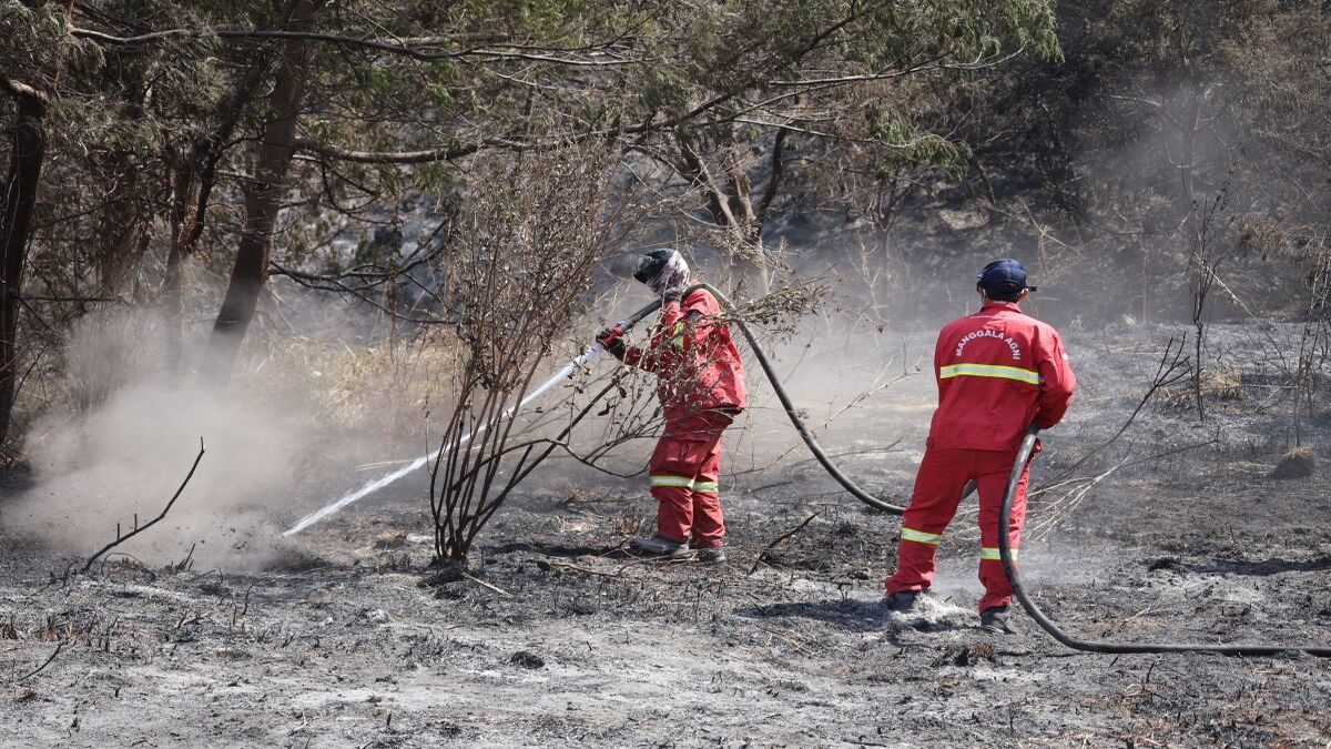 Darurat! Relawan Pemadam Kebakaran Bromo Keluhkan Gangguan Pernapasan Akibat Asap 52 IMG 9486.JPG