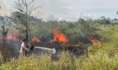 Kebakaran lahan di tarakan