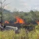 Kebakaran lahan di tarakan