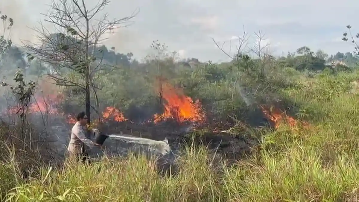 Kebakaran lahan di tarakan