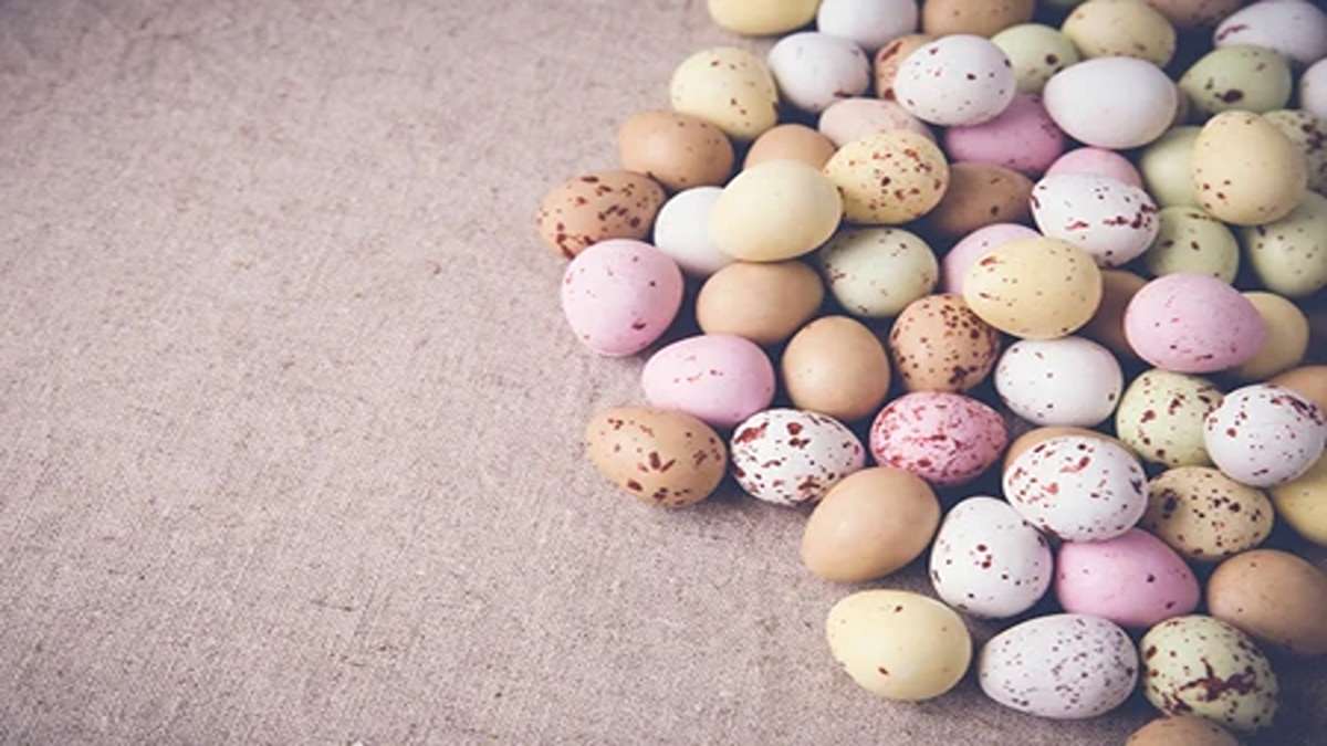 Dibalik Ukuran Mungilnya, Temukan Kandungan Nutrisi Telur Puyuh yang Luar Biasa 50 Beberapa telur puyuh